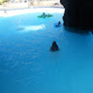 Meet your Posher, Valeria